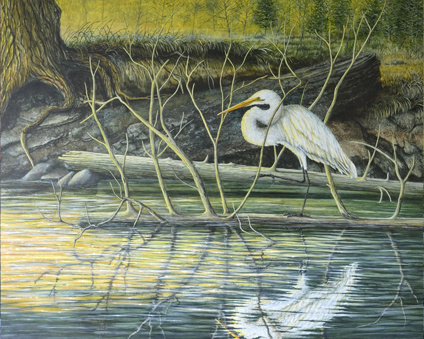 Painting of a White Egret entitled: A Question of Balance by C.F. Lawrenson