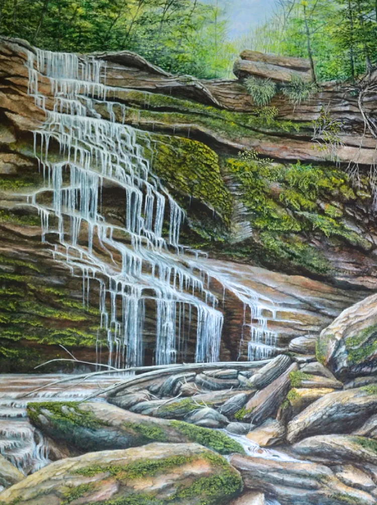 Northern Rainforest a painting by C.F. Lawrenson