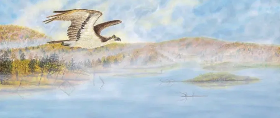 Autumn Lift Off: A painting by C.F. Lawrenson