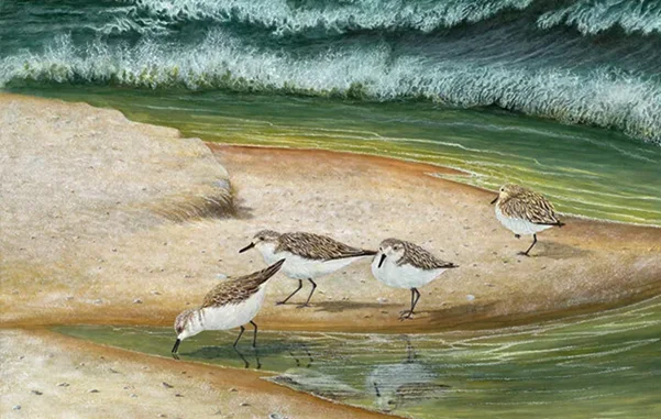 Pipers of the Emerald Coast: A painting by C.F. Lawrenson