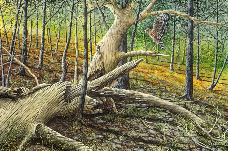 Tanglewood Touchdown: A painting by C.F. Lawrenson